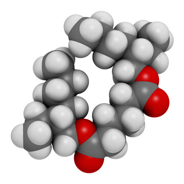 Bis(2-ethylhexyl) adipate (DEHA, diisooctyl adipate) plasticizer molecule, 3D rendering.