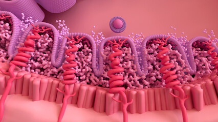 Menstrual Cycle, Bleeding Menstrual Period. Menstruation phases: menstruation, follicular phase, ovulation and luteal phase.