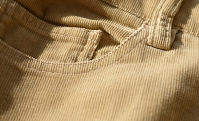 Velvet texture pastel beige colors background, details of skirt close-up