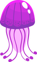 Jellyfish sea animal. Vector illustration