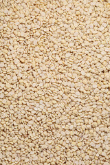 White Lentils (Urad Dal). Lentils background 