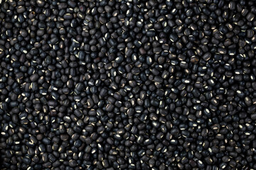 Black Lentils (Maa de Daal, Black matpe beans, Black urad, urad whole)
