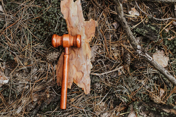 Judge's gavel on a tree in the bark, concept of forest law and nature protection.