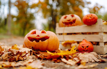 Halloween pumpkins on the autumn street. Holidays, decoration concept.