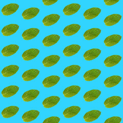 Seamless pattern of mint leaves on blue