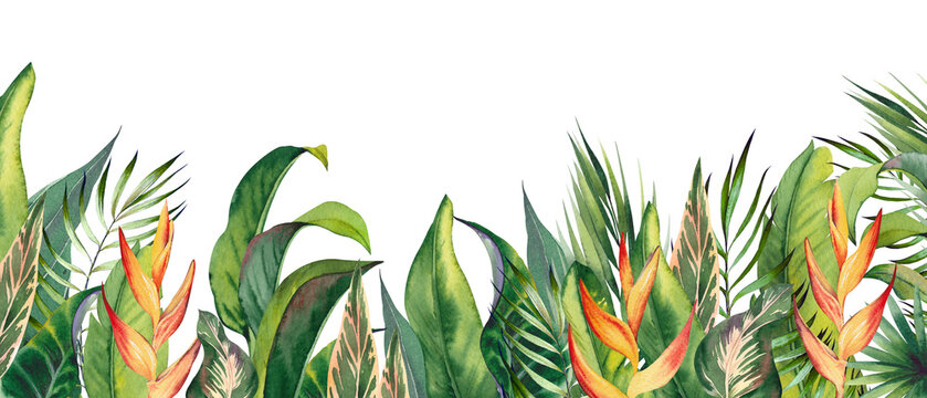 Tropical horizontal border with heliconia flowers and palm leaves. Watercolor illustration on white background.