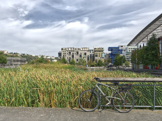 Vélo adossé à une rembarde devant des roseaux, dans le quartier moderne de Confluence à Lyon