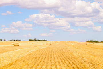 Fototapeta premium Haystack in field
