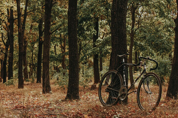bicycle in the park