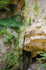 Discovery tour of the Škocjan Caves Regional Park