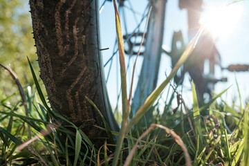 Close-up detail of a bicycle parked in a meadow, against the backdrop of the sun and blue sky. Active lifestyle concept. Bottom view.