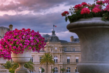 Luxembourg gardens and flower bed vase at dramatic dawn, Paris, France