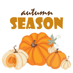 Autumn card with cute, cozy, autumn pumpkins and lettering. Cute vector illustration.
