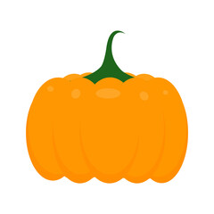 illustration of a pumpkin, Halloween symbol, orange pumpkin on white background