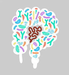 Human microbiome illustration with intestines and bacteria Vector picture. Gastroenterologist. Bifidobacteria, lactobacilli. Lactic acid bacteria.