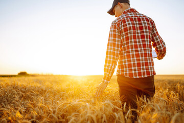 Amazing view with Man With His Back To The Viewer In A Field Of Wheat Touched By The Hand Of Spikes...