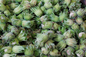 Pile of fresh hazelnuts, Corylus avellana, on a market stall