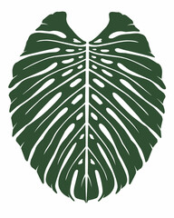 Monstera leaf silhouette © sense