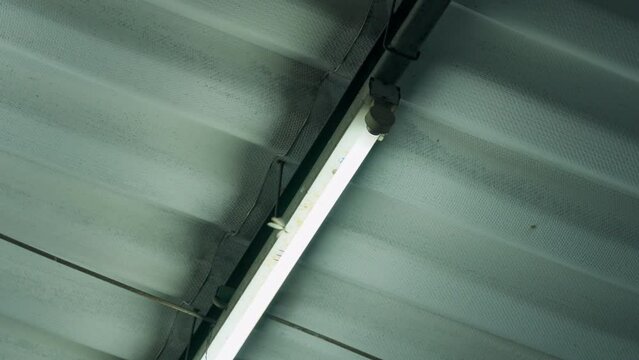 Moths flying around the light bulb after the rain