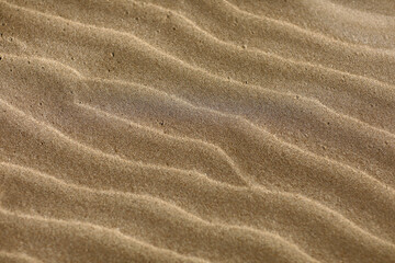 Fototapeta na wymiar Wavy sand background for summer designs. Sand texture. Sandy beach for background. Top view. Natural sand stone texture background. sand on the beach as background. 