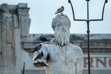 Close-up of birds perching on Neptune Statue and fountain. Famous structure of ancient Greek god with old building in background. Beautiful art in harbor city of Messina. © Aerial Film Studio