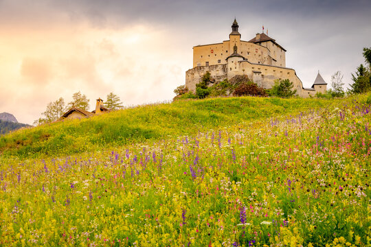 Tarasp with colorful wildflowers and meadows at springtime, Engadine, Swiss Alps