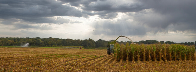 Autumn corn harvest in Lower Saxony