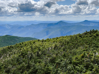Fototapeta premium Mountainous landscape with rocks and trees in the foreground. Mountain summit in the sky of NH.