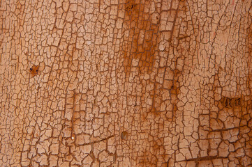 Background from wooden old boards with cracked paint. Vintage green fence texture as abstract background. Craquelure cracks.