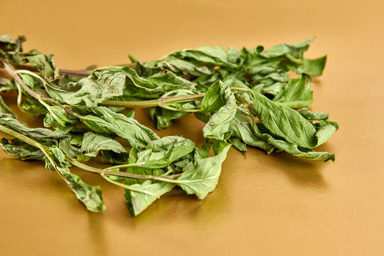 Sprigs of mint drying on an orange background. Drying and storage of plants.