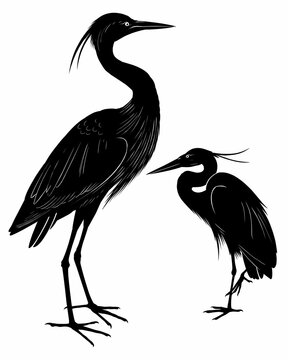 recommend clip art: heron silhouette isolated on white