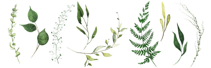 Watercolor floral set of green leaves, branches, twigs etc. Isolated greenery illustration. 