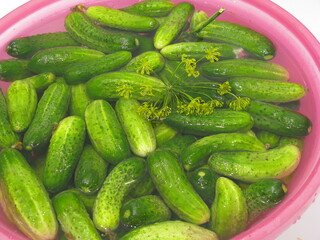 A bowl with water and green cucumbers. Green cucumbers are washed in water.