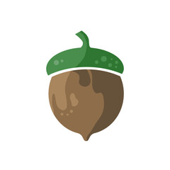  Acorn or oaknut vector illustration