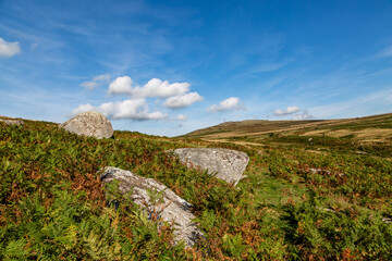 A view in Dartmoor National Park on a sunny autumn day