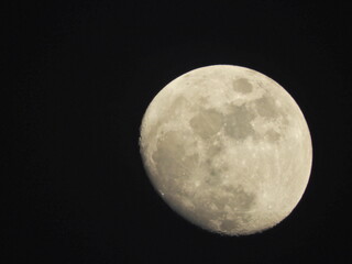Fototapeta premium Luna llena