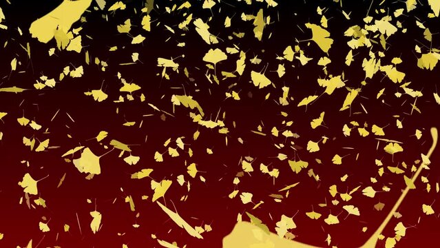 紅葉 舞い上がる 落ち葉 イチョウ 左下から 【背景 グラデーション 黒赤】
