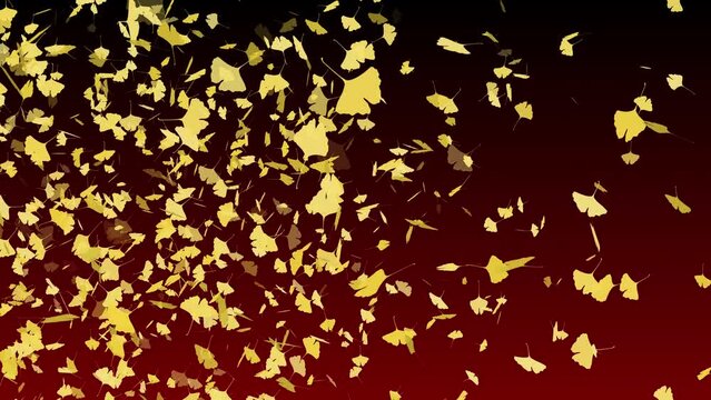 紅葉 舞い上がる 落ち葉 イチョウ 左 旋風 【背景 グラデーション 黒赤】