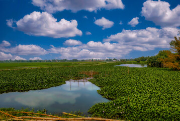 hoi an, hoian, vietnam, hoi an vietnam, vietnam travel, vietnam landscape, vietnamese, vietnam tourism, Hội An, hoi an ancient town, hoi an quang nam, asia, ancient, world cultural heritage, peaceful,