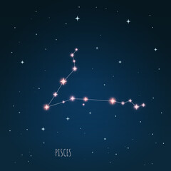 Vector Constellation Pisces - Illustration of the 88 modern constellation. Zodiac sign vector illustration. © iryna