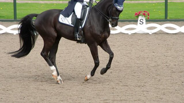 Black Horse With Rider. A rider in a traditional costume gracefully rides a pedigreed horse. Slow Motion at a rate of 240 fps