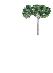 Green tree Watercolor Handpainted clipart Great for greeting card, invitation, posters, patterns, scrapbooking.