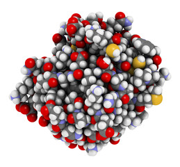 Thioredoxin antioxidant enzyme. 3D illustration.