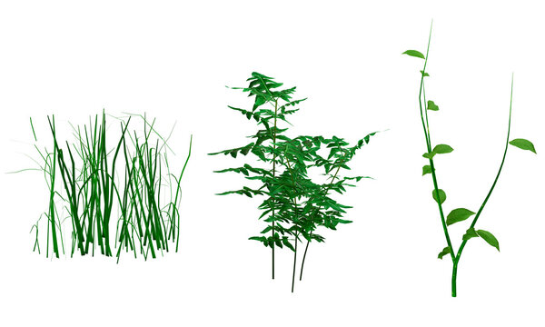 Plantas con transparencia PNG. Pasto y arbustos. Ilustración 3D