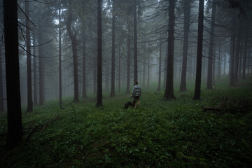 Obraz na płótnie Canvas Lost in the gloomy and dark forest during a foggy morning with the best mystic atmosphere in the east of Bohemia.
