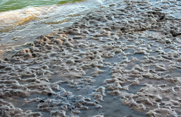 Waters edge with creviced stone