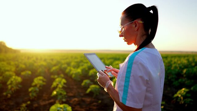 Young woman agronomist holds digital tablet in field, uses his proposal to record and account for planted green plants. Touch screen tap and swipe. Product quality control. Farming and agriculture.