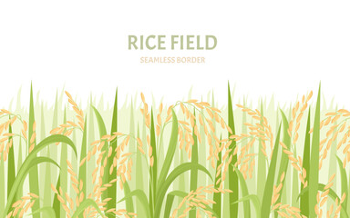 Rice field background. Cereal plants seamless pattern. Vector cartoon illustration of paddy  harvest.