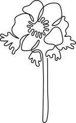 anemone flower floral minimal outline art