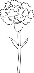 carnation flower floral minimal outline art